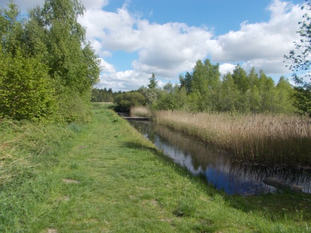 dscn1539.jpg