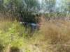 dscn1540_small.jpg