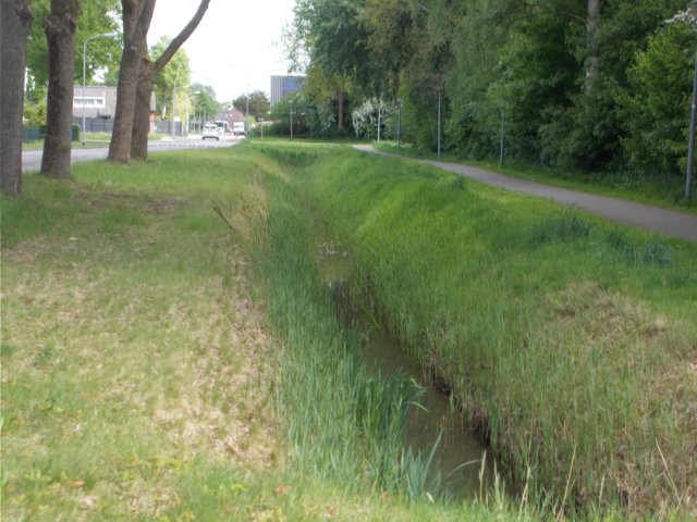dscn1543.jpg