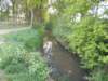 dscn1547_small.jpg