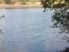 dscn0041_small.jpg