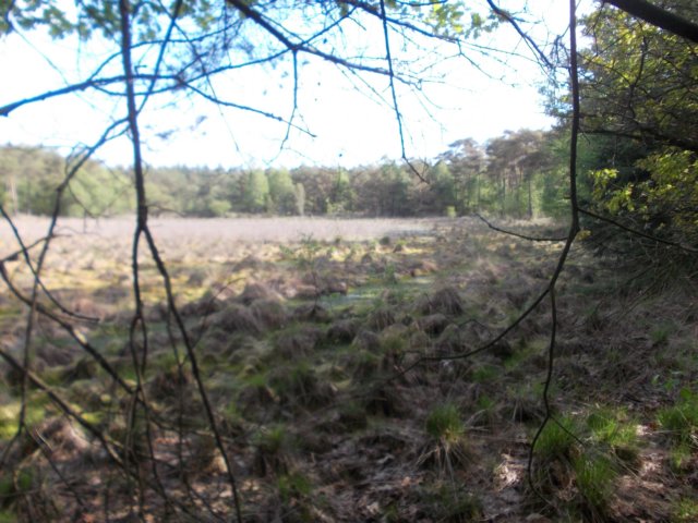 dscn0042.jpg