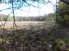 dscn0042_small.jpg