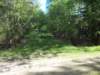 dscn0043_small.jpg