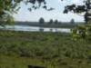 dscn0047_small.jpg