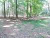 dscn0048_small.jpg