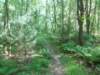 dscn0049_small.jpg
