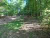 dscn0050_small.jpg