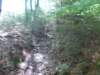 dscn0052_small.jpg