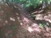 dscn0053_small.jpg