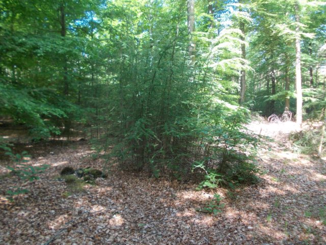 dscn0056.jpg