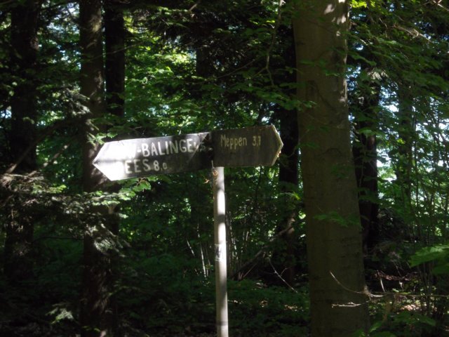 dscn0057.jpg