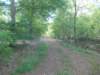 dscn0061_small.jpg