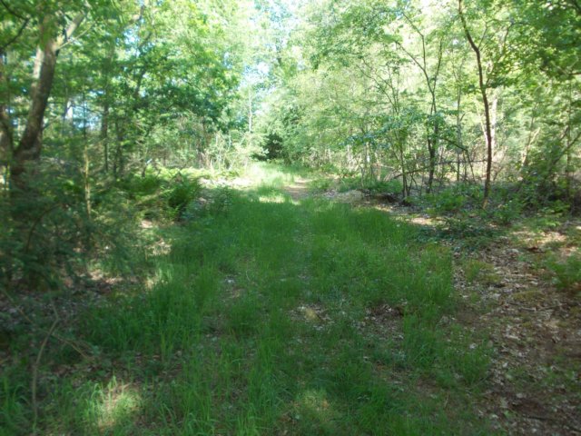 dscn0062.jpg