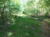dscn0062_small.jpg