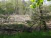 dscn0063_small.jpg