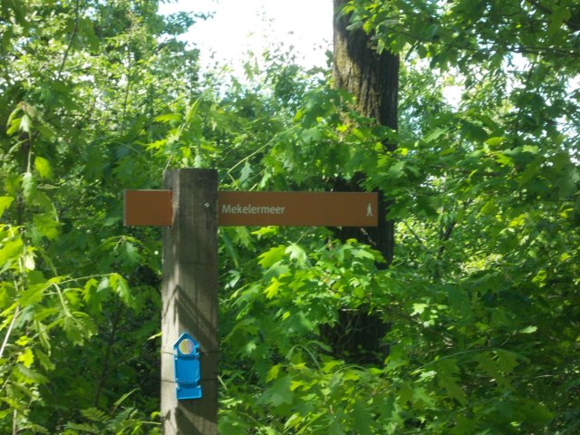dscn0064.jpg