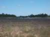 dscn0065_small.jpg