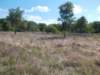 dscn0066_small.jpg