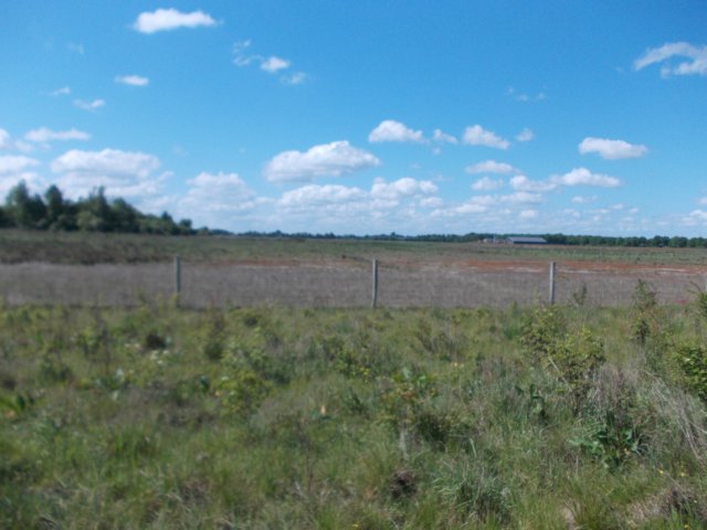 dscn0069.jpg