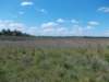 dscn0069_small.jpg