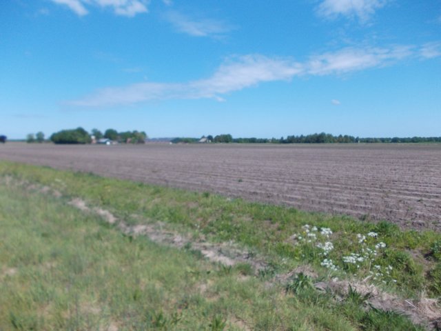 dscn0070.jpg