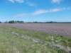 dscn0070_small.jpg