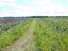 dscn0071_small.jpg