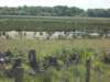 dscn0072_small.jpg