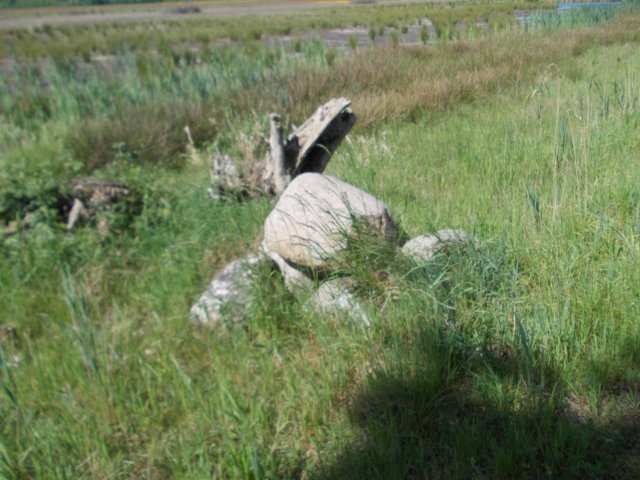 dscn0075.jpg