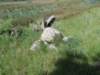 dscn0075_small.jpg