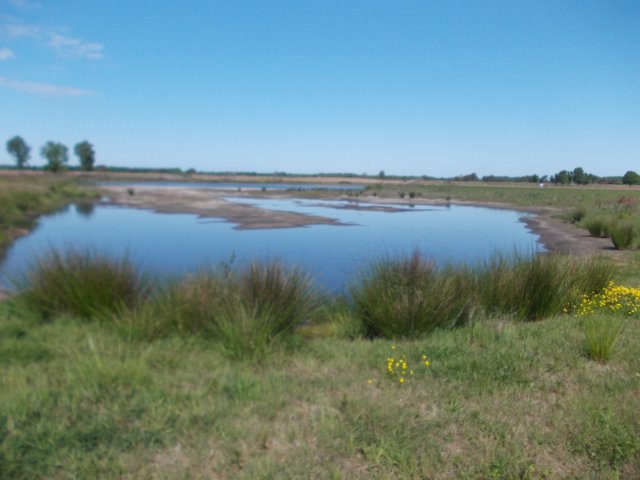 dscn0077.jpg