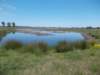 dscn0077_small.jpg