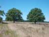 dscn0078_small.jpg
