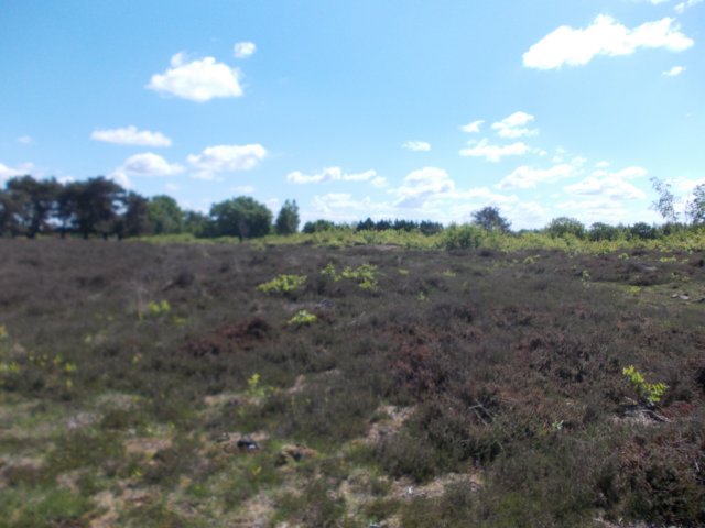 dscn0081.jpg