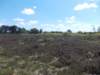 dscn0081_small.jpg