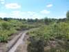 dscn0082_small.jpg