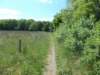 dscn0085_small.jpg