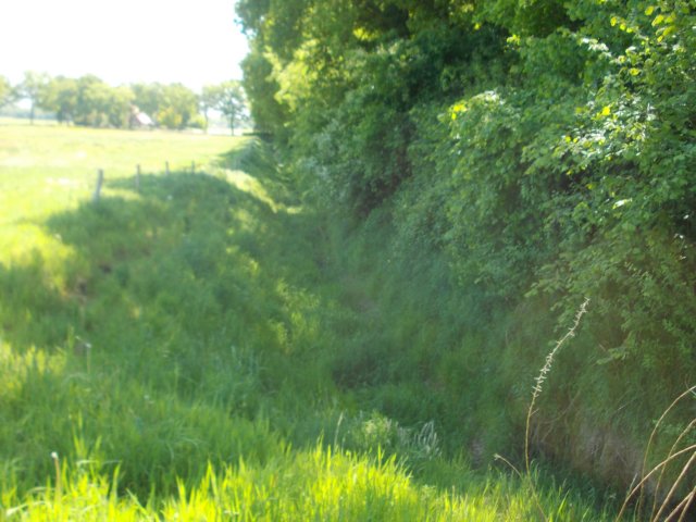 dscn0087.jpg