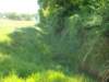 dscn0087_small.jpg