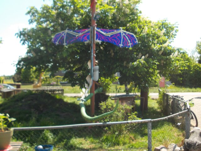 dscn0092.jpg