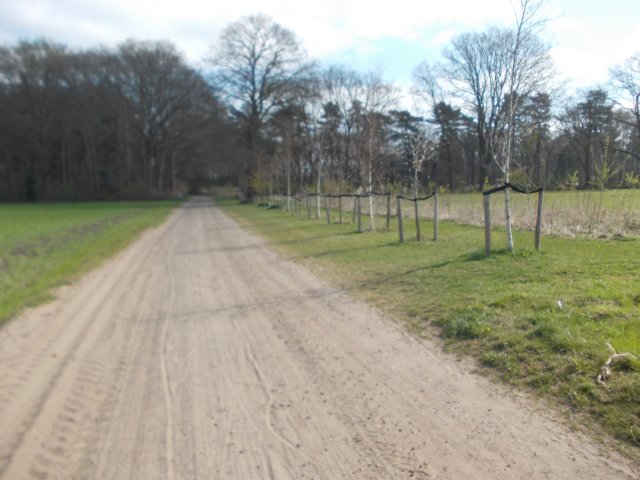 dscn0396.jpg