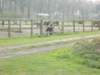 dscn0397_small.jpg