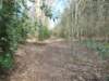 dscn0400_small.jpg