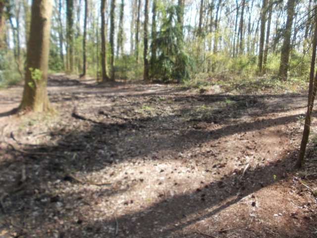 dscn0401.jpg