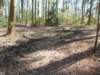 dscn0401_small.jpg