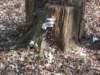 dscn0402_small.jpg