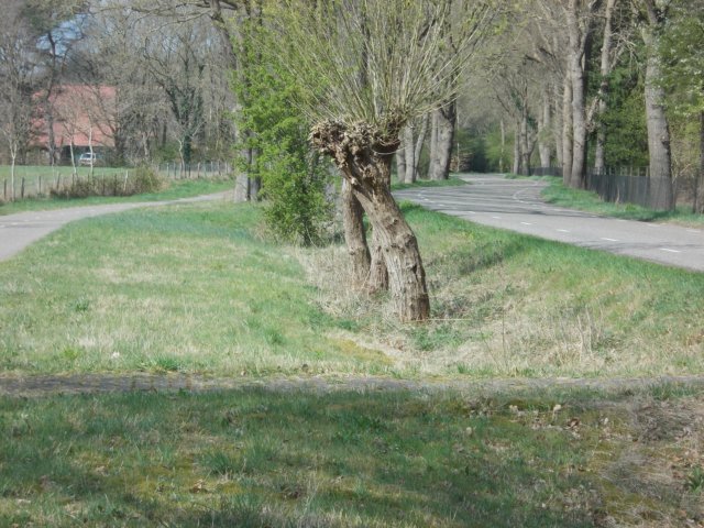 dscn0407.jpg