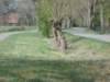 dscn0407_small.jpg