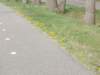 dscn0408_small.jpg